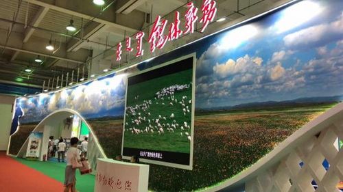 第六届内蒙古绿色农畜产品博览会额尔敦展区现场直击!
